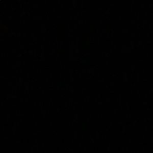 Meet your Posher, Meg